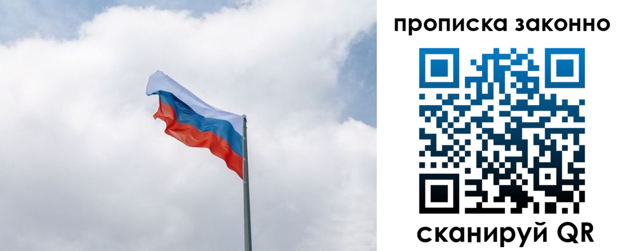 прописка поиск в Химках
